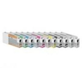 Cartucho EPSON T636B00Verde, Epson