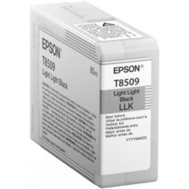 Cartucho EPSON T850900Negro