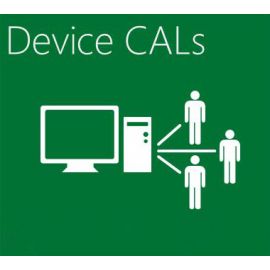 Winsvrcal Sngl Licsapk Olp Nl Dvccal
