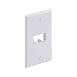 Placa de Pared Vertical Clásica, Salida Para 2 Puertos Mini-Com, Color Blanco