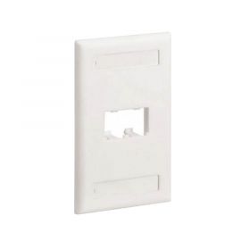 Placa de Pared Vertical Clásica, Salida Para 2 Puertos Mini-Com, Con Espacios Para Etiquetas, Color Blanco