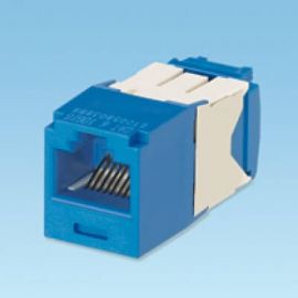 Jack PANDUIT CJ6X88TGBURJ-45, Azul