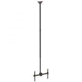 Soporte de TechoVESA para Montaje de Pantallas y TV de 32 a 75 Pulgadas con Mástil de hasta 3M, Ajustable, Startech