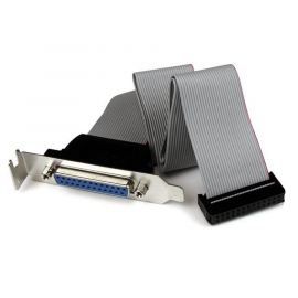 Adaptador de 40 cm Header StarTech.com PLATE25F16LPDB25, IDC26