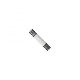 Fusible de Ceramica Tipo Europeo Time 8 Amp 250 V.