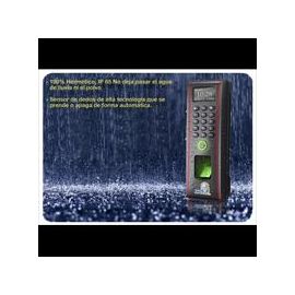 Control de Acceso y Asistencia ZKTeco TF1700Negro, Si, Si